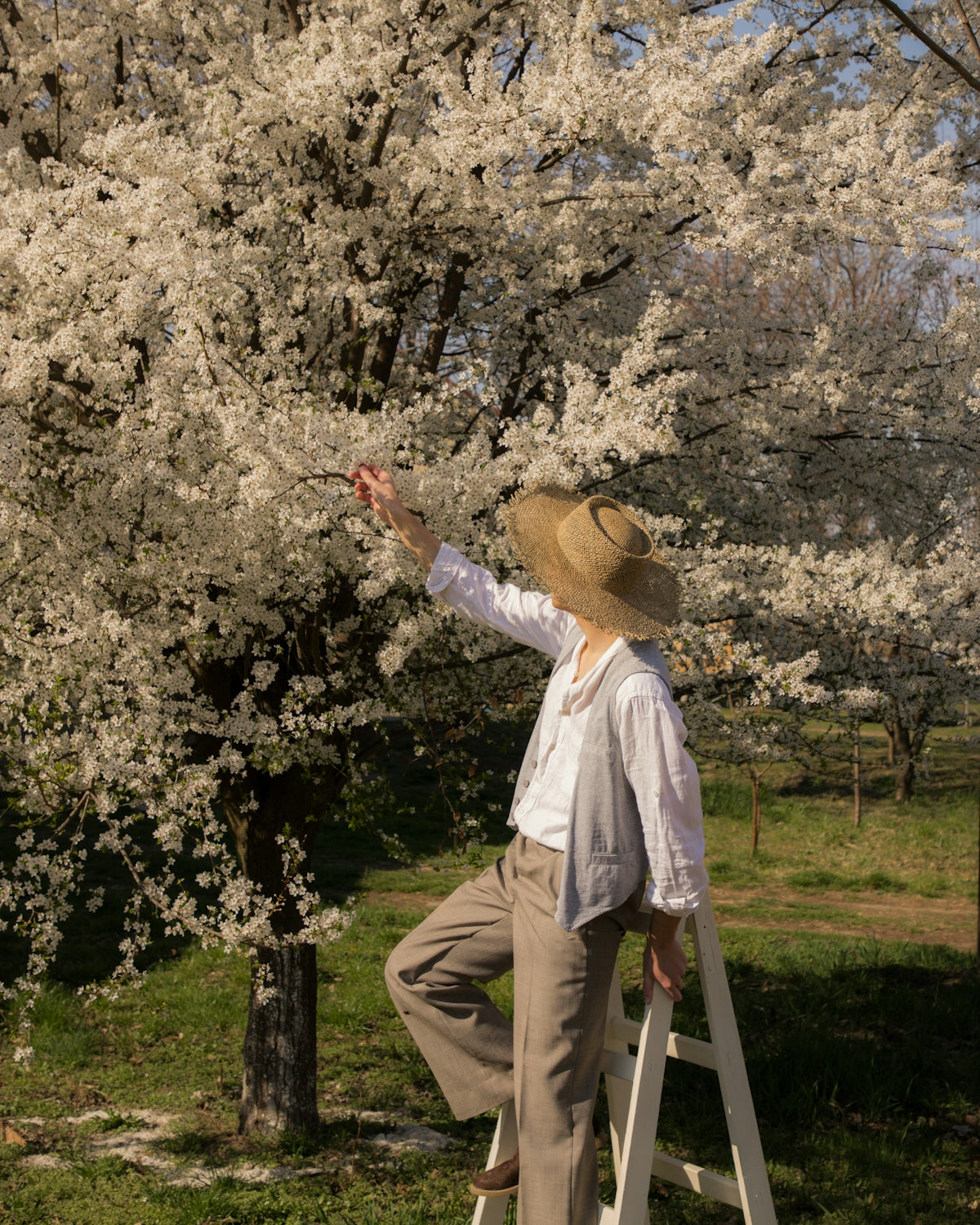 a man standing on a ladder reaching up to a tree